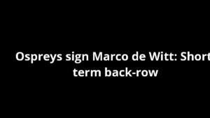 Ospreys sign Marco de Witt: Short-term back-row