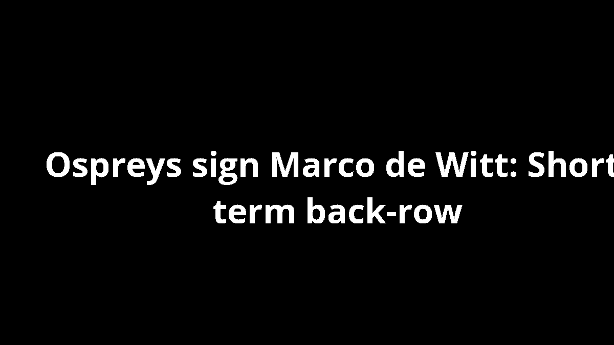 Ospreys sign Marco de Witt: Short-term back-row
